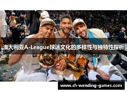 澳大利亚A-League球迷文化的多样性与独特性探析