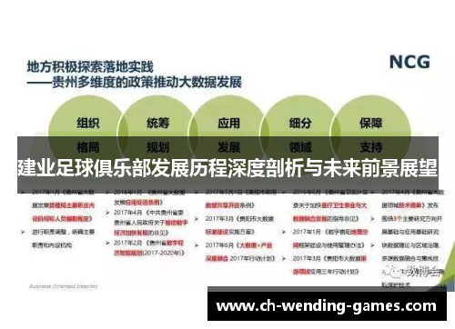 建业足球俱乐部发展历程深度剖析与未来前景展望