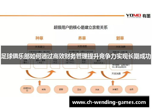足球俱乐部如何通过高效财务管理提升竞争力实现长期成功